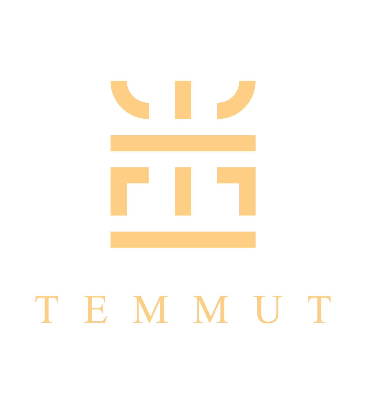 TEMMUT Logo 2